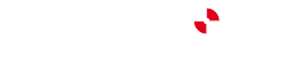 Lewis Brown Chartered Land Surveyors Logo